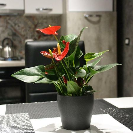 Loft Ramondetta 30Tre Apartment Катания Екстериор снимка
